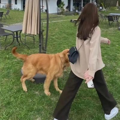 旧街走廊·终章